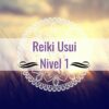 Reiki I