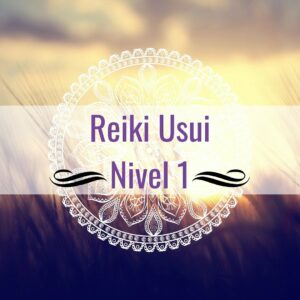 Reiki I