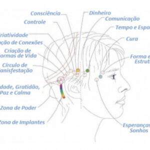 Barras de Access